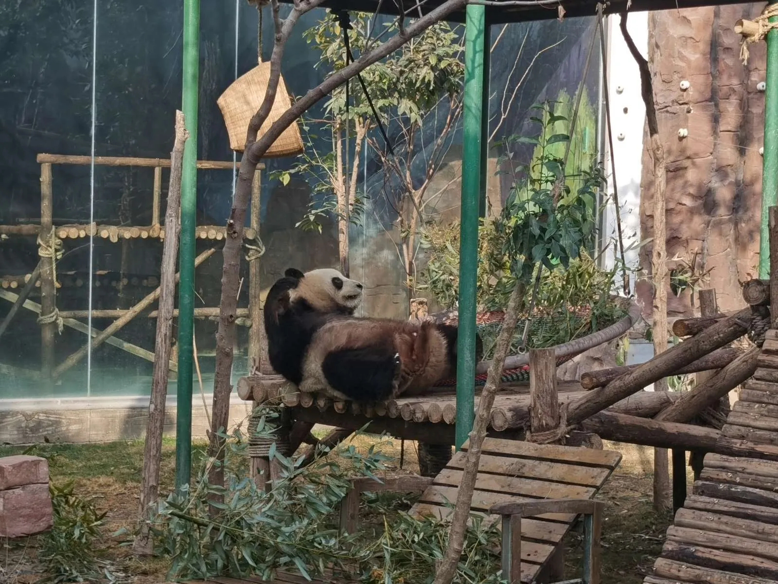 2023年悄然结束